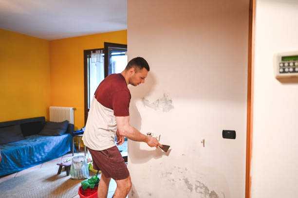 Reliable St Joseph, MI Mold Removal Solutions